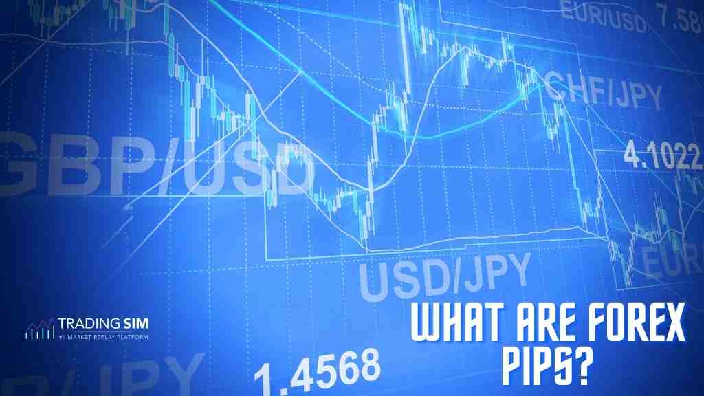 Pips In Forex Trading Explained | TradingSim